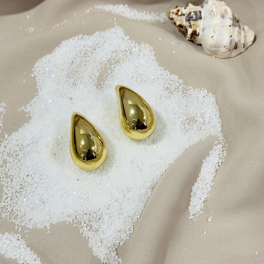 Bottega Earrings